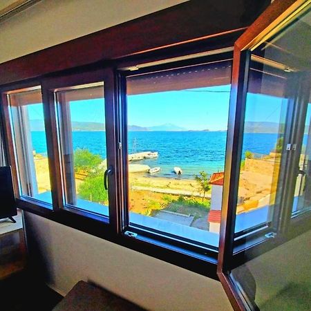 Gianni'S Apartment 1 By The Sea アムリアニ エクステリア 写真